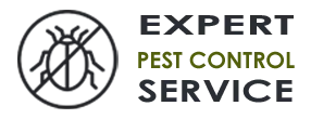 Emergency Exterminator Company Parkland WA